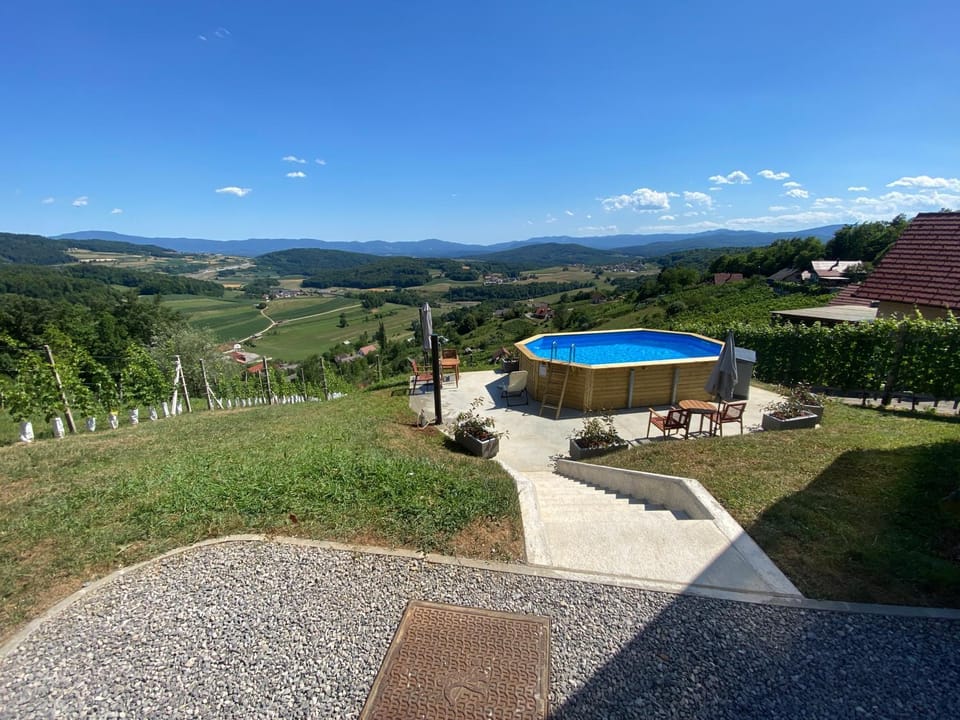 Vineyard Cottage Joanna Apartment in Slovenia