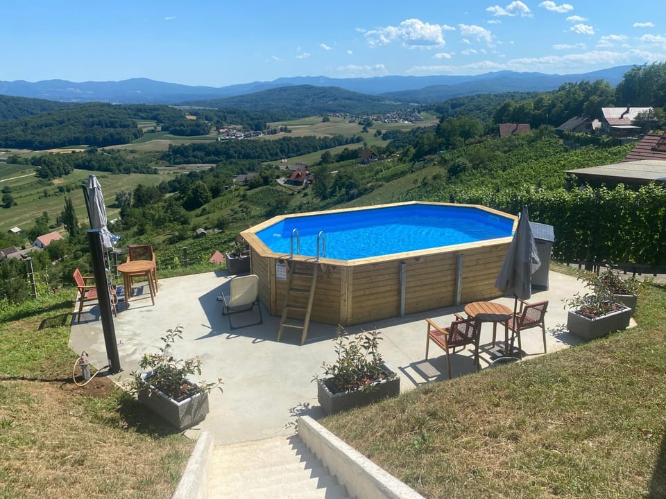 Vineyard Cottage Joanna Apartment in Slovenia