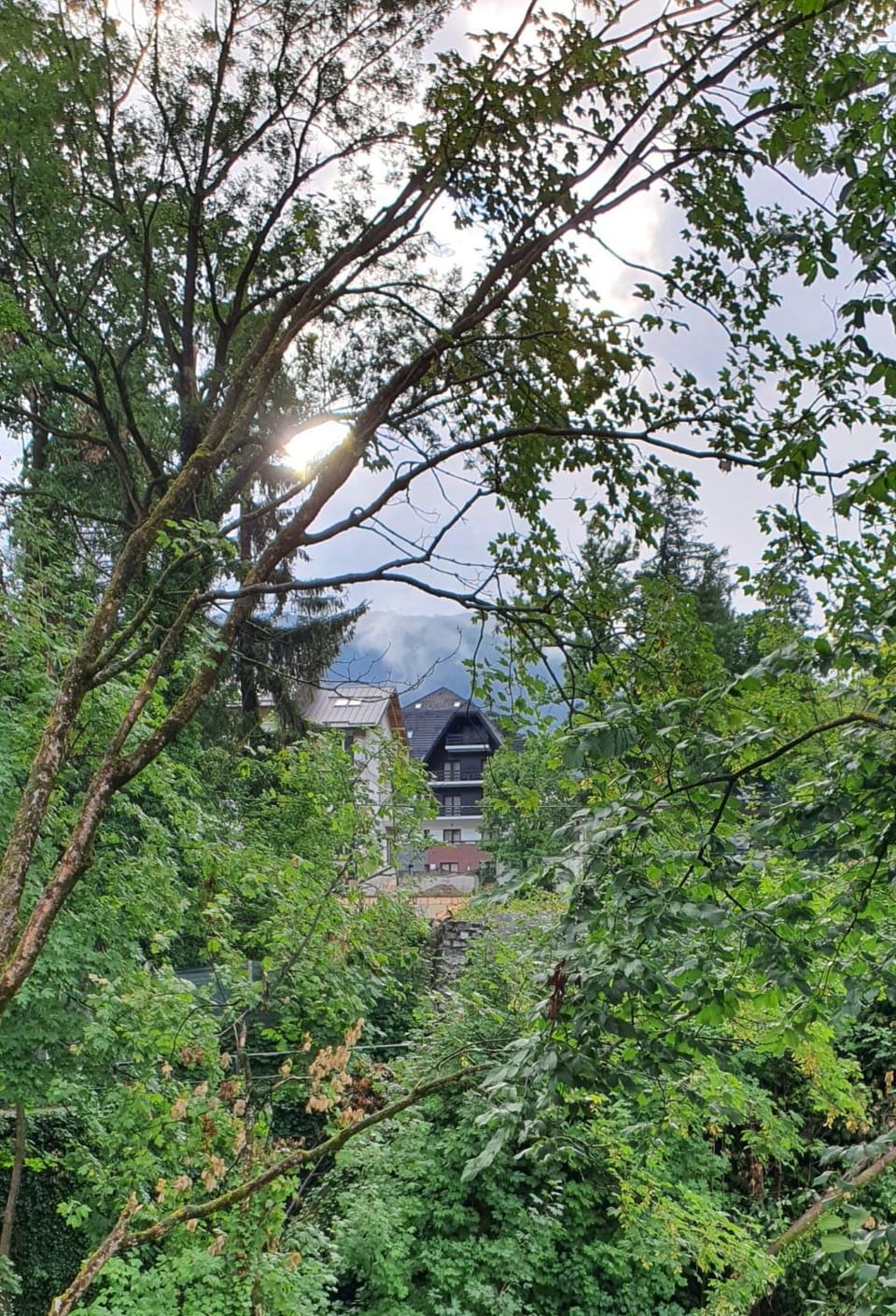 City view, Mountain view