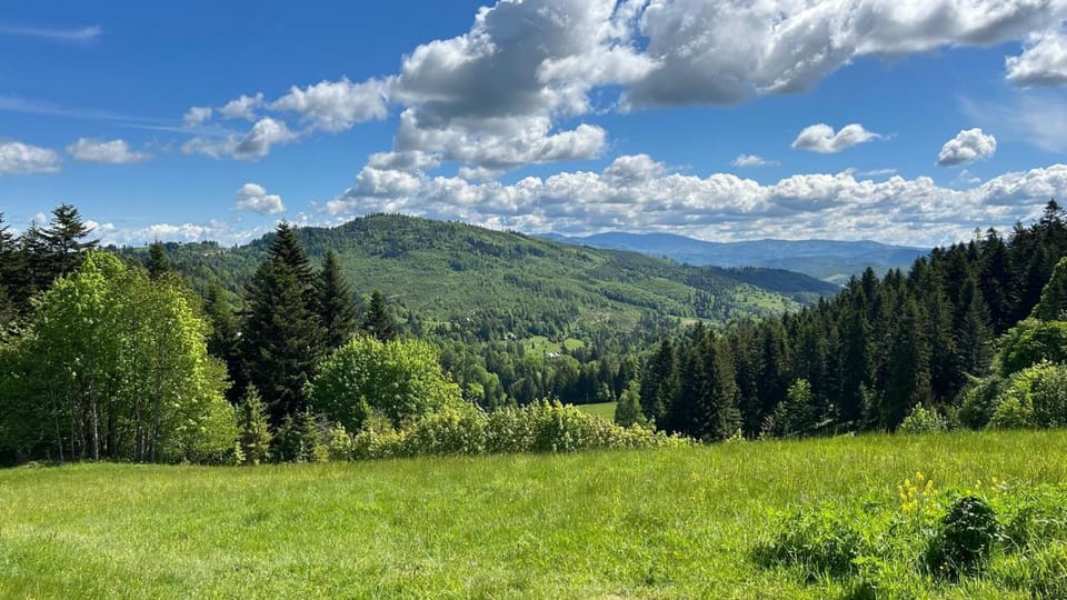 Natural landscape, Mountain view