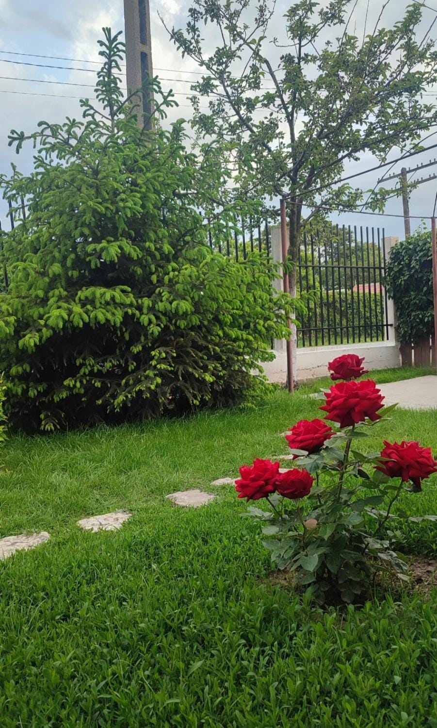 Garden view