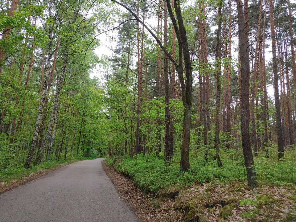 Domek w Borach House in Pomeranian Voivodeship
