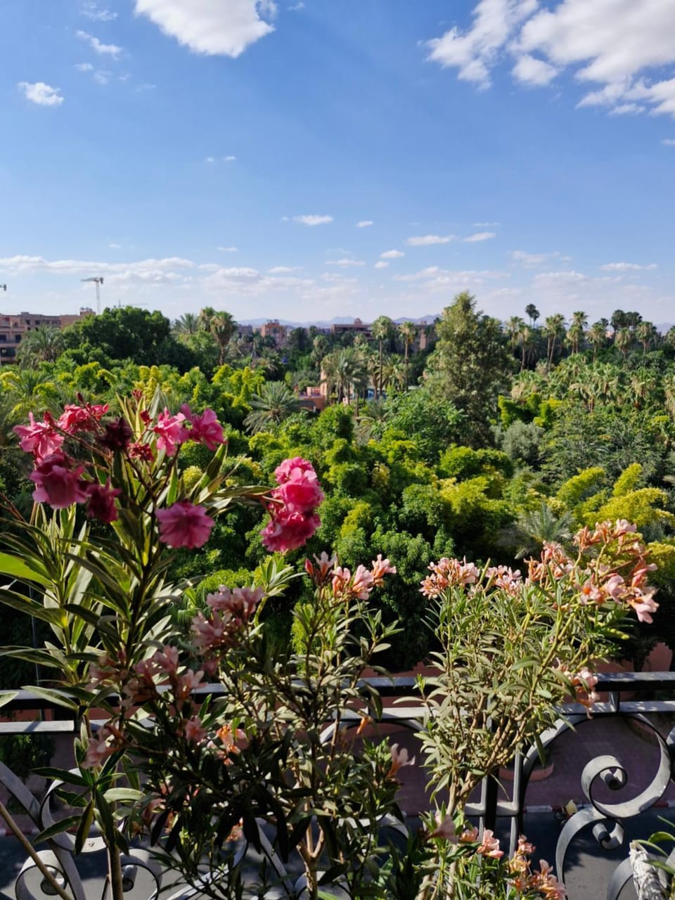 Duplex lumineux 220 m2 vue exclusive Jardins de Majorelle et atlas Apartment in Marrakesh