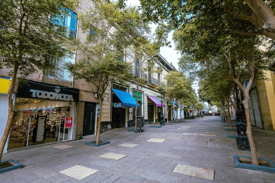 New Apt in Centro GDL Near Cathedral & Attractions Apartment in Guadalajara