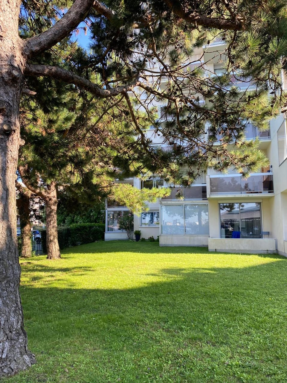 Property building, Garden, Garden view