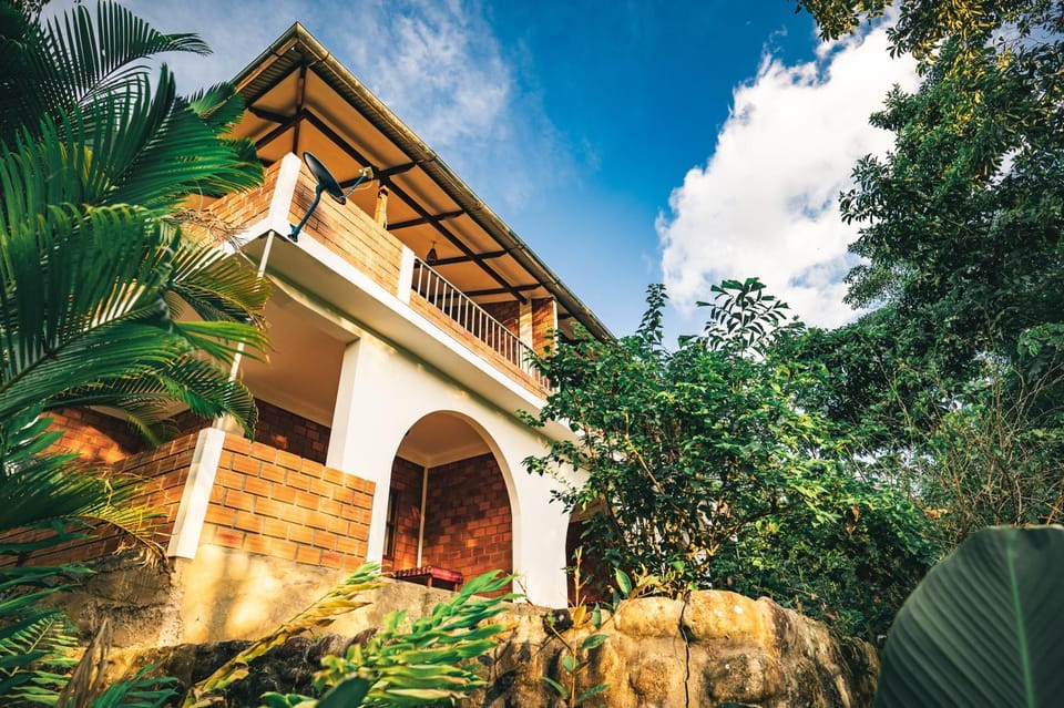Property building, Facade/entrance, Garden view