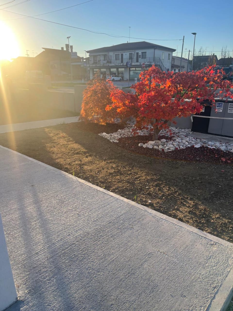 Day, Garden