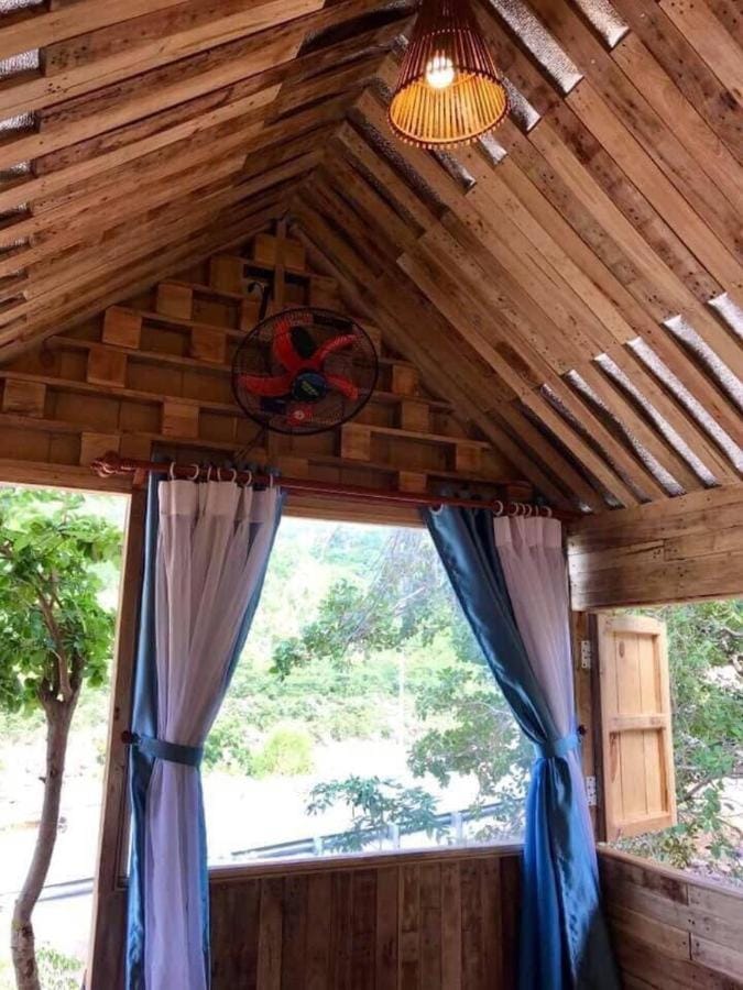 Day, Garden, Garden view