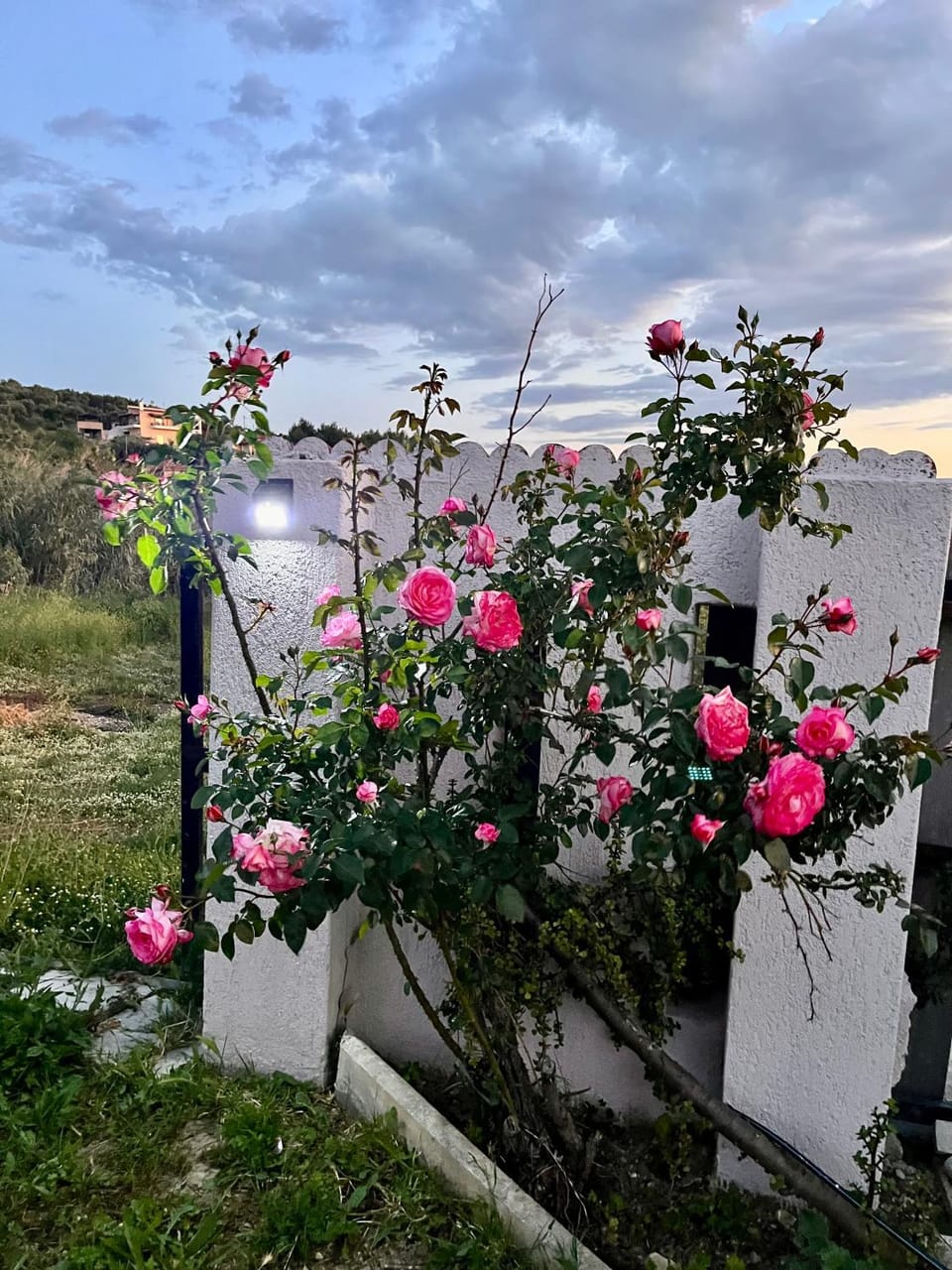 Zografos Studios Zacharo Zakharo Vacation rental in Messenia