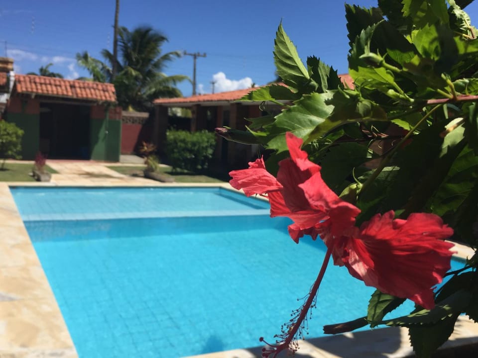Property building, Day, Garden, Garden, Pool view, Swimming pool, Swimming pool
