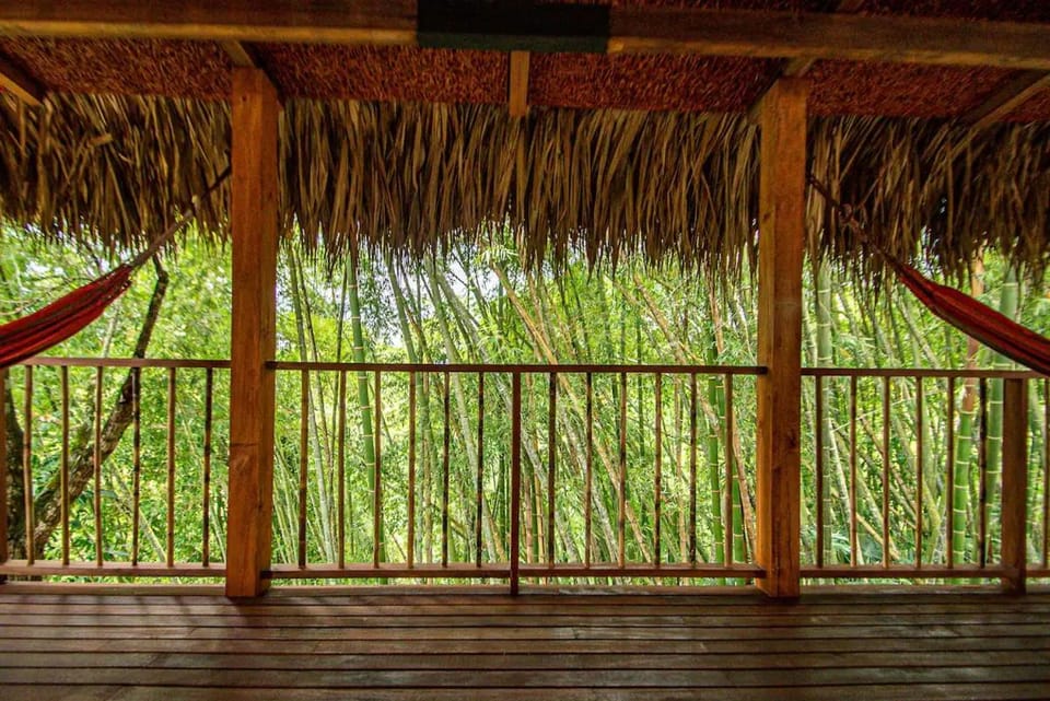 Cabin Nestled in Bamboo Forest Cabin in Quindio, Colombia