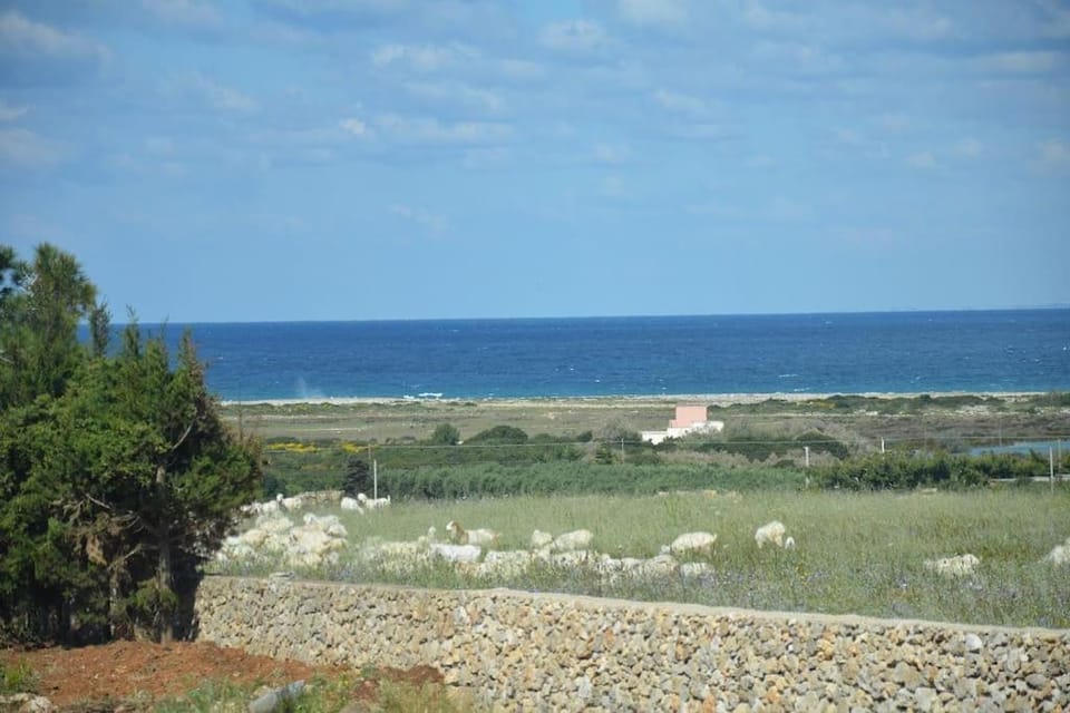 Nearby landmark, Day, Natural landscape, Sea view