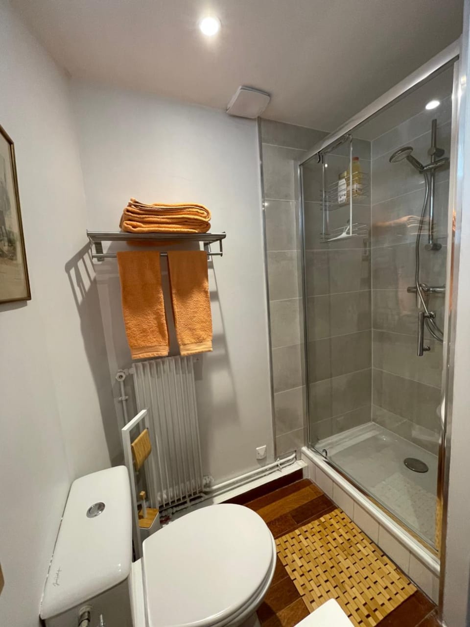 Shower, Toilet, Bathroom, towels