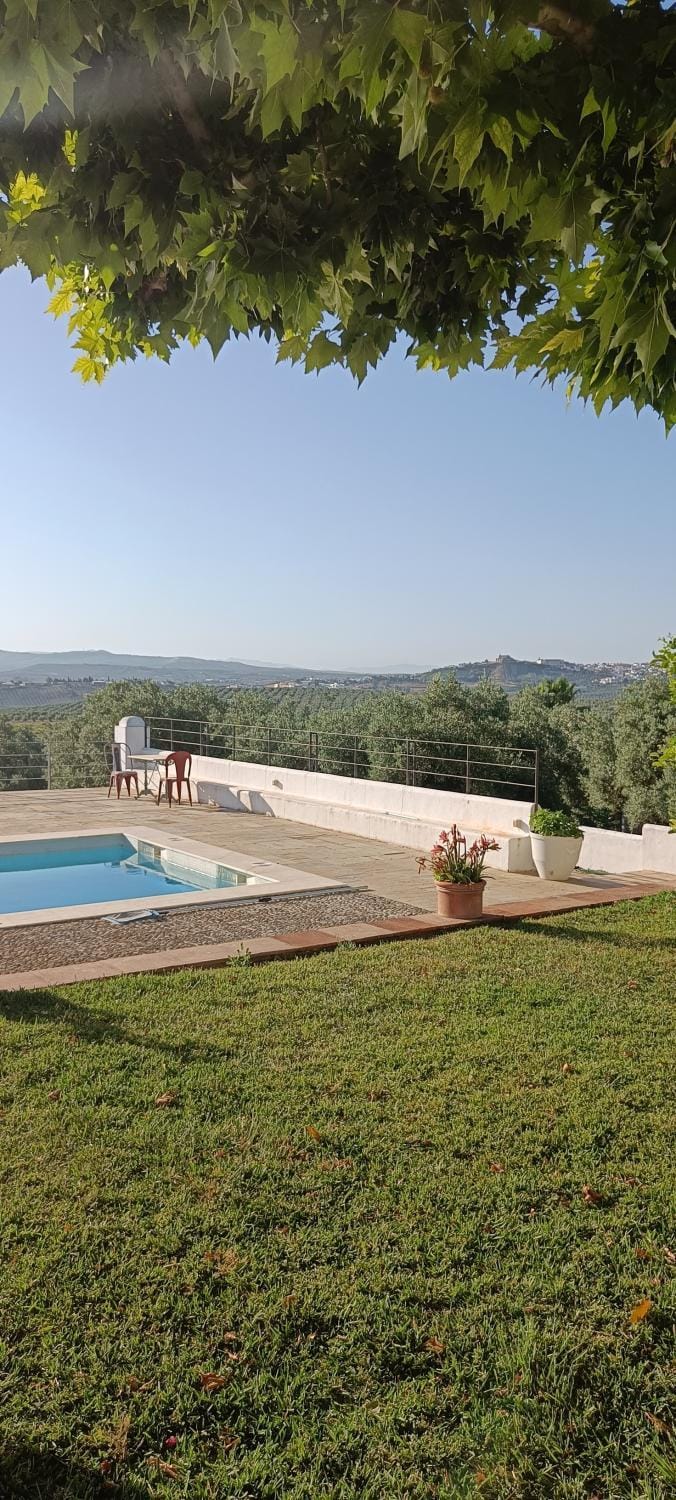 Day, Natural landscape, Garden, Mountain view, Pool view, Swimming pool