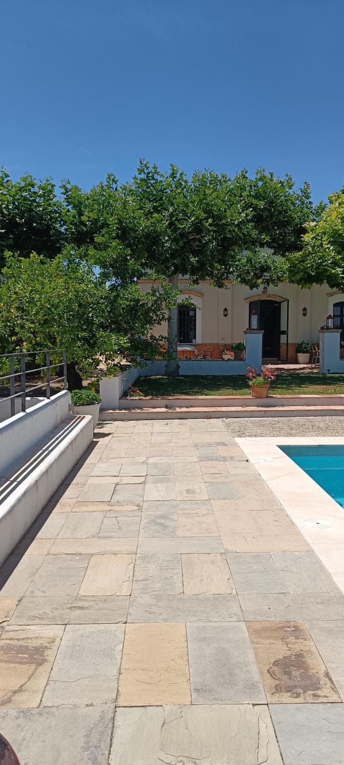 Garden, Garden view, Pool view, Swimming pool