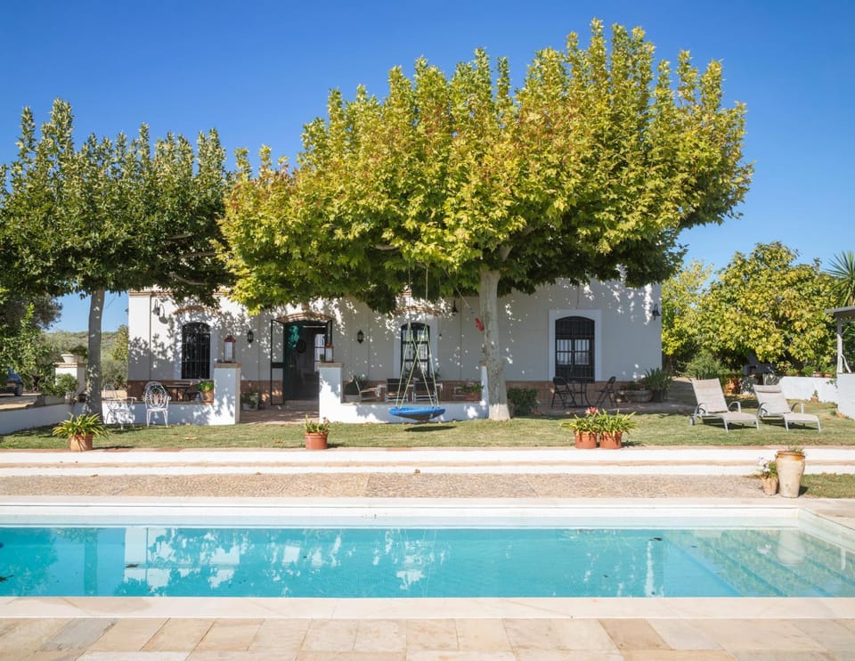 Property building, Spring, Garden, Garden view, Pool view, Swimming pool, sunbed