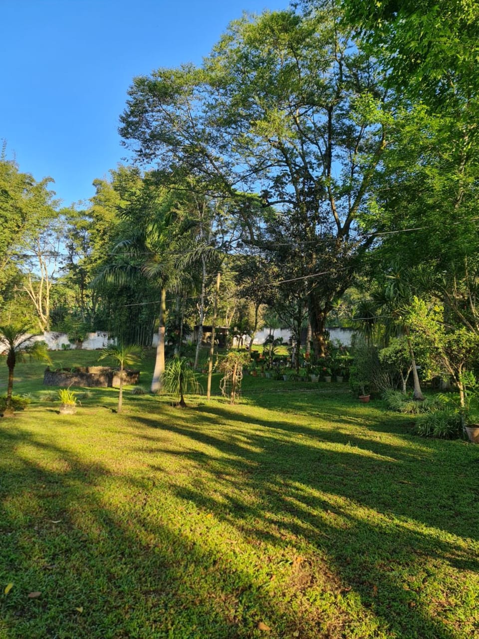 Natural landscape, Garden