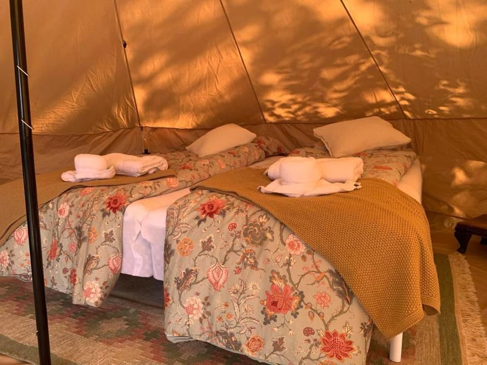 Bed, Photo of the whole room, towels