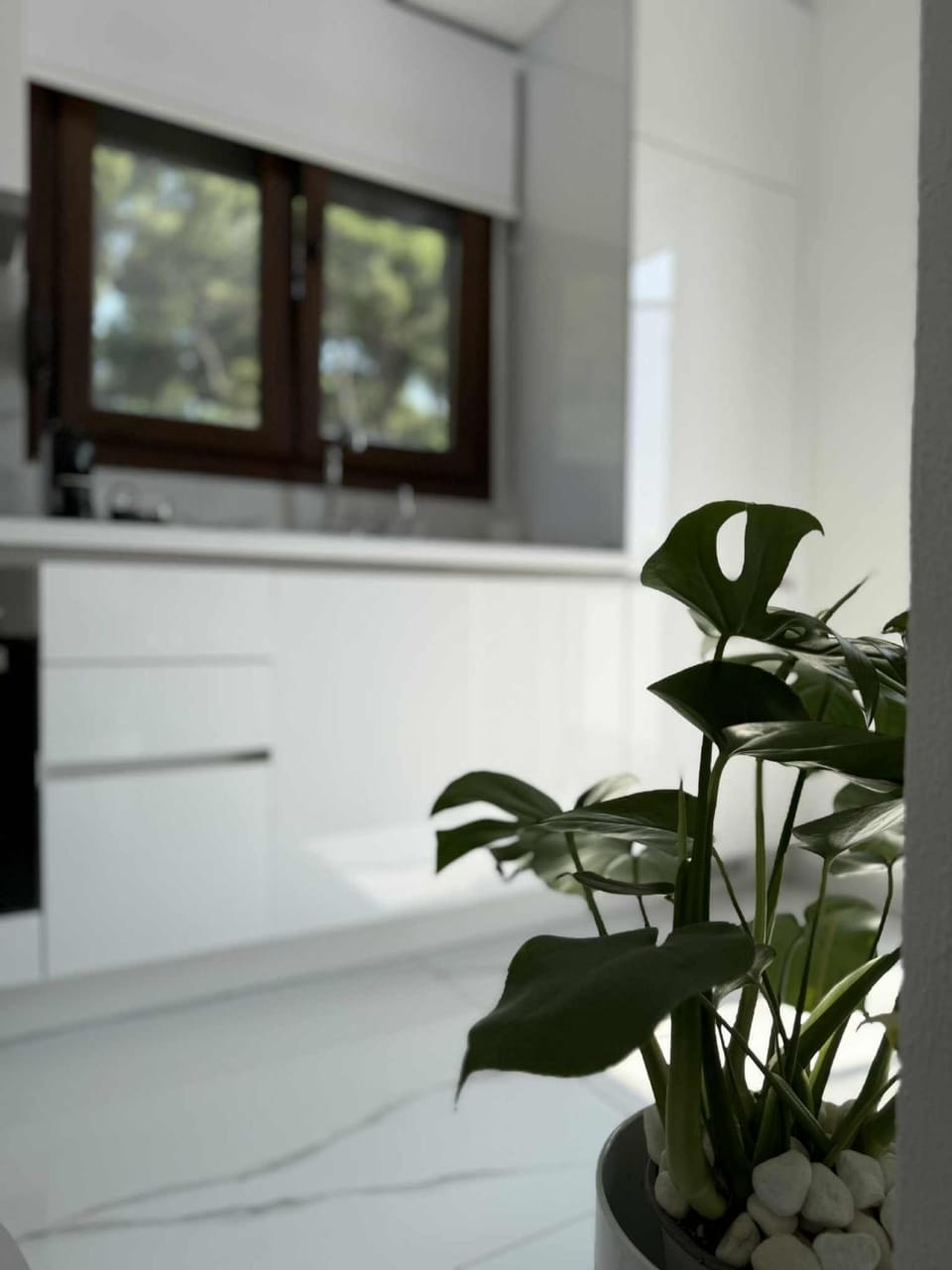 Stella's Petite Studios Apartment in Halkidiki