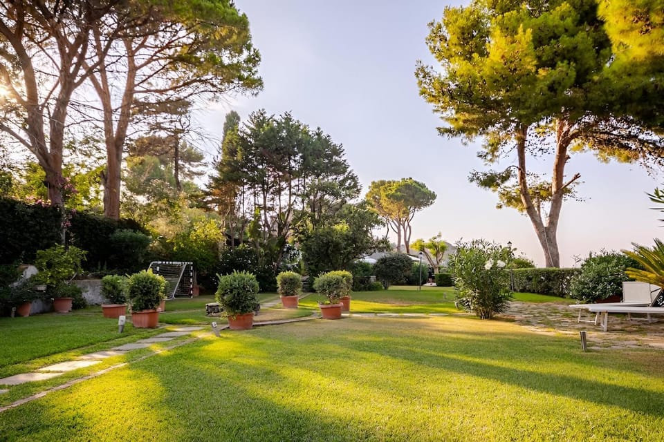 Natural landscape, Garden, Garden view