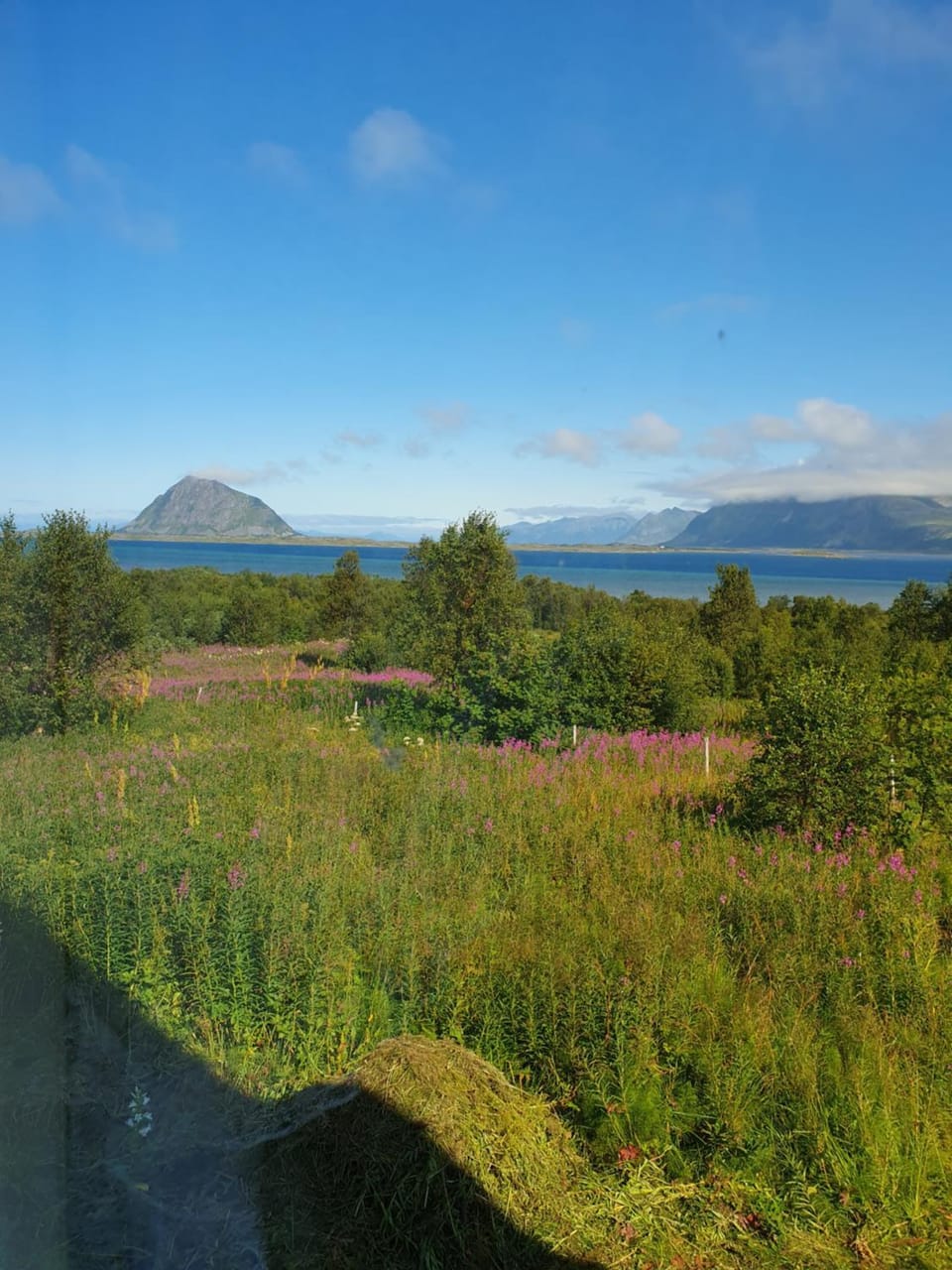 View (from property/room)