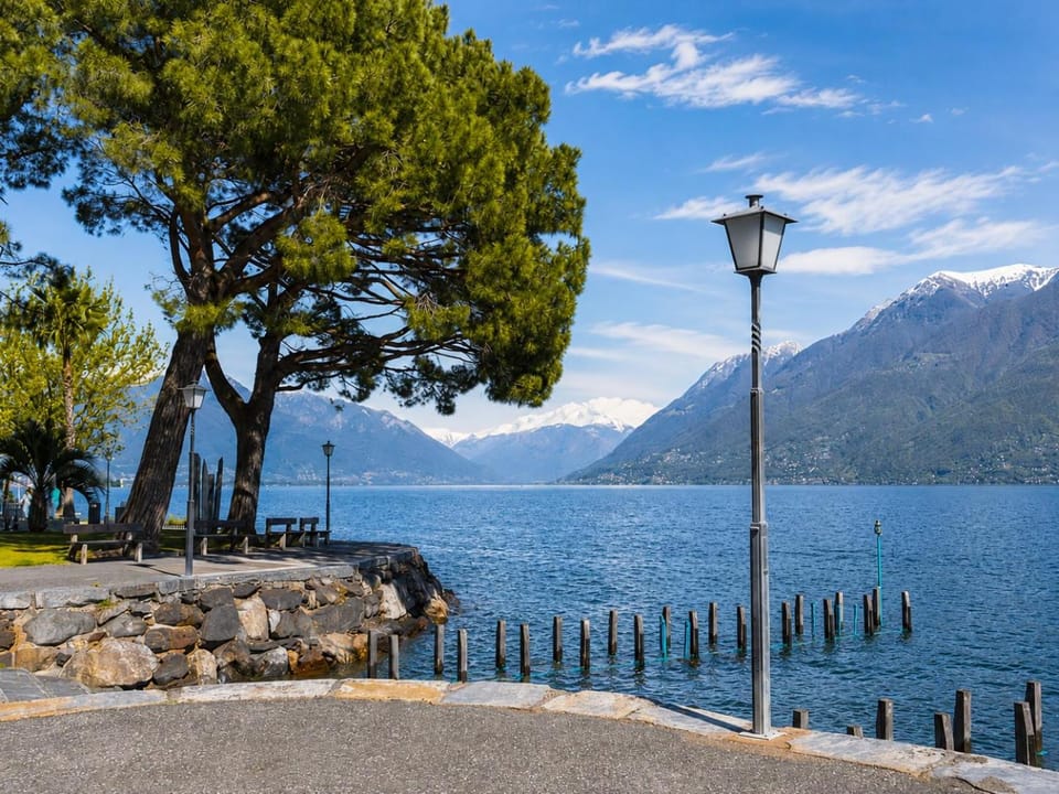 Lake view