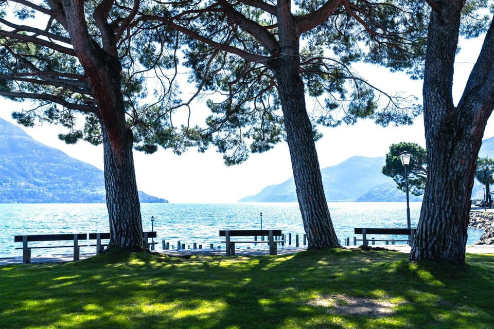 Lake view