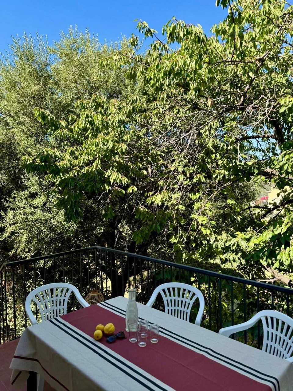 Garden, Balcony/Terrace, Garden view