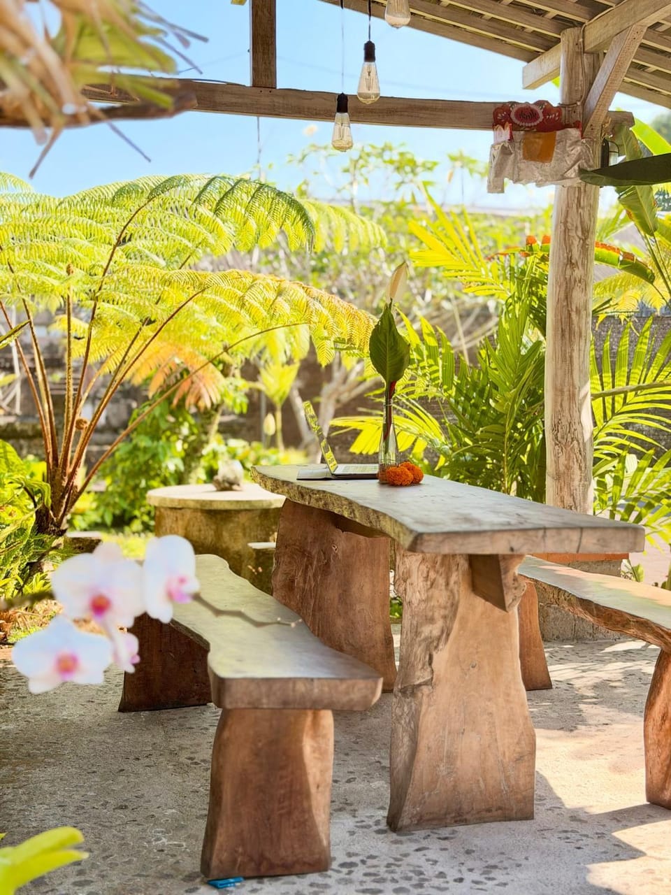 Patio, Spring, Day, Garden, Living room, Seating area, Dining area, Garden view