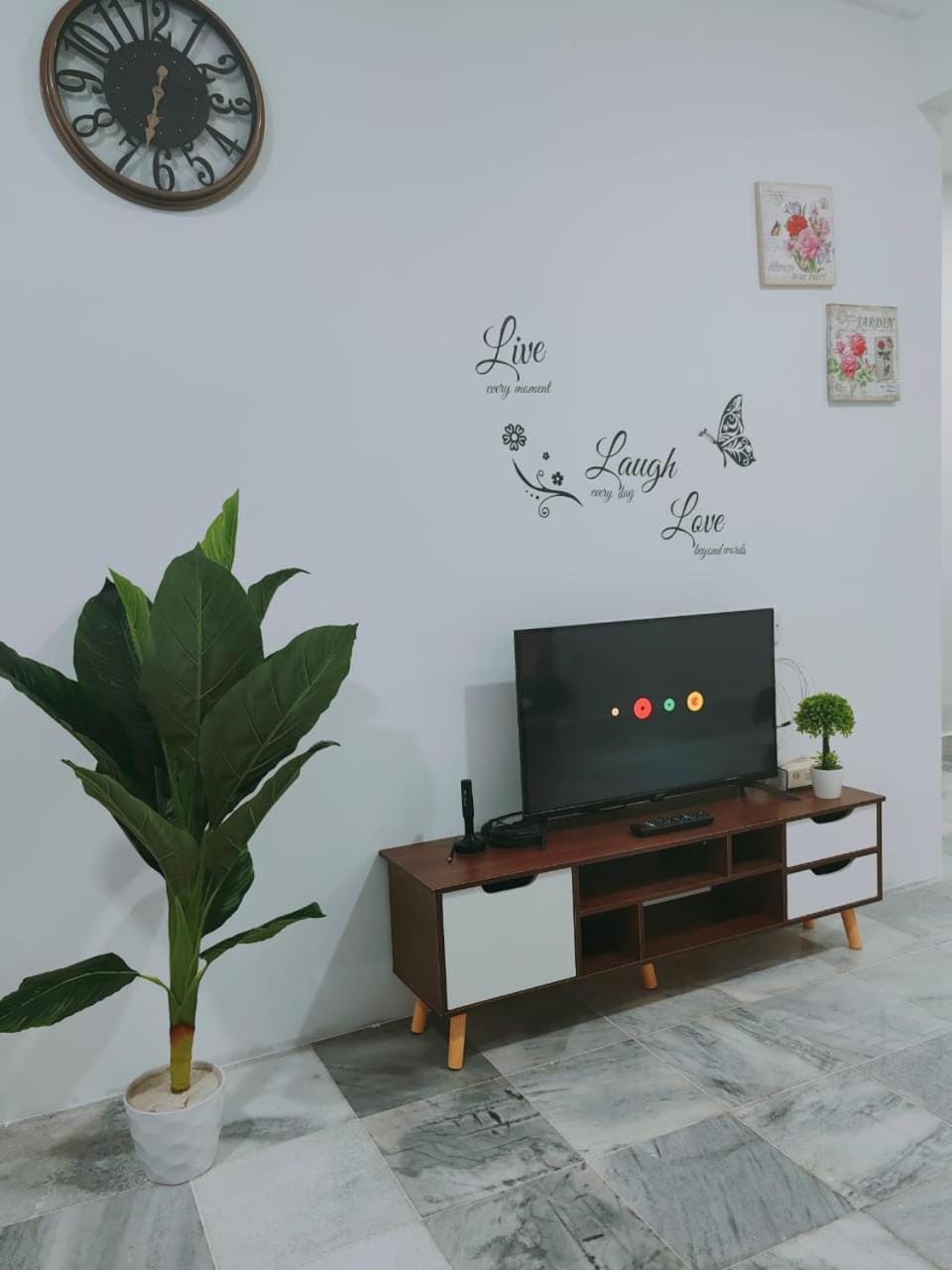 TV and multimedia