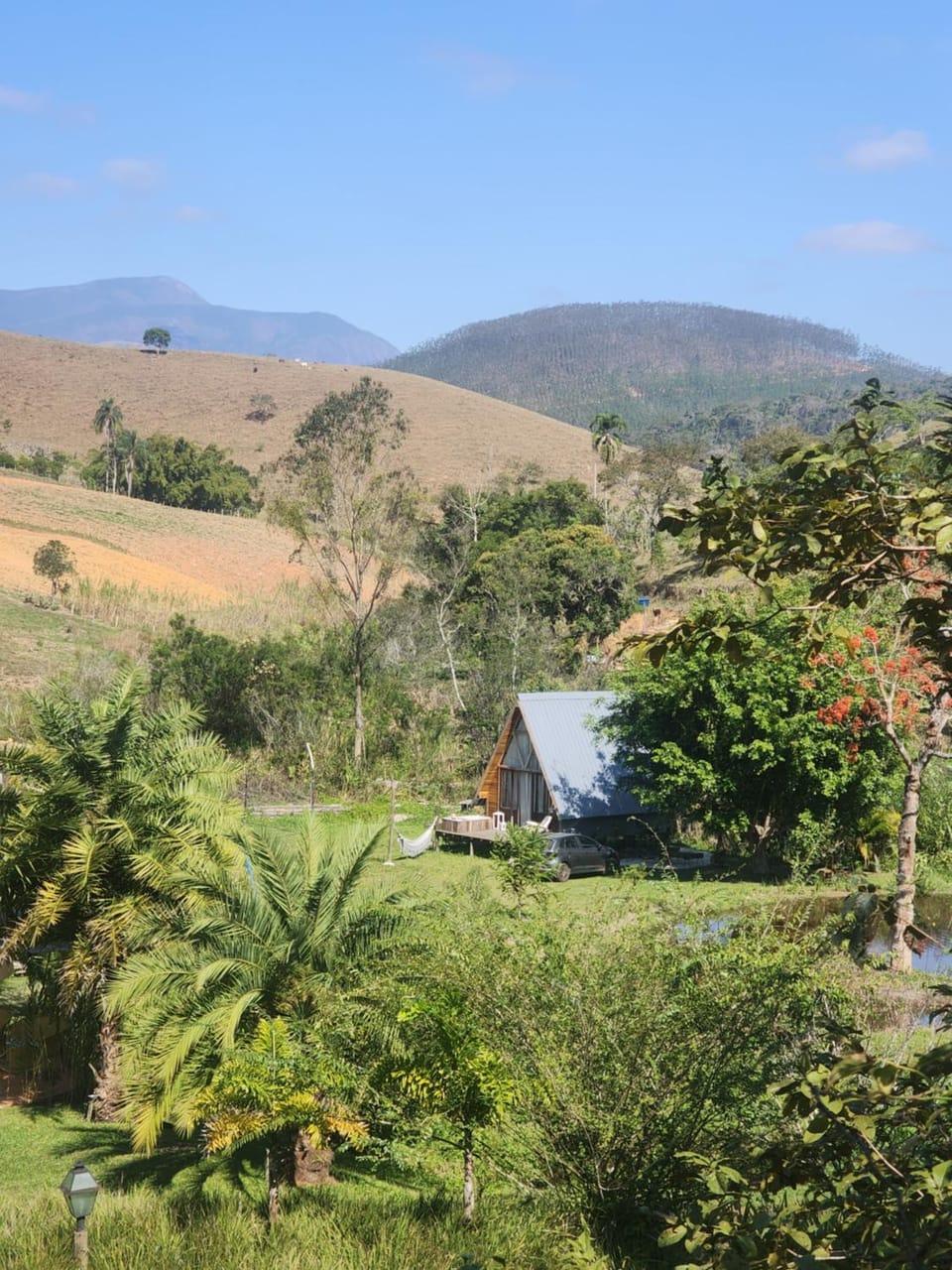 Property building, Natural landscape, Garden, Garden view