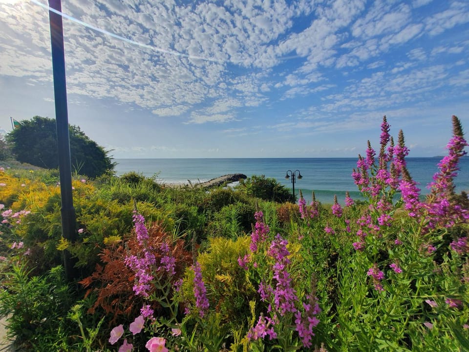 Natural landscape
