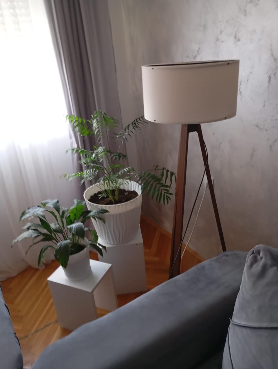 Apartment Aleksandrija Apartment in Serbia