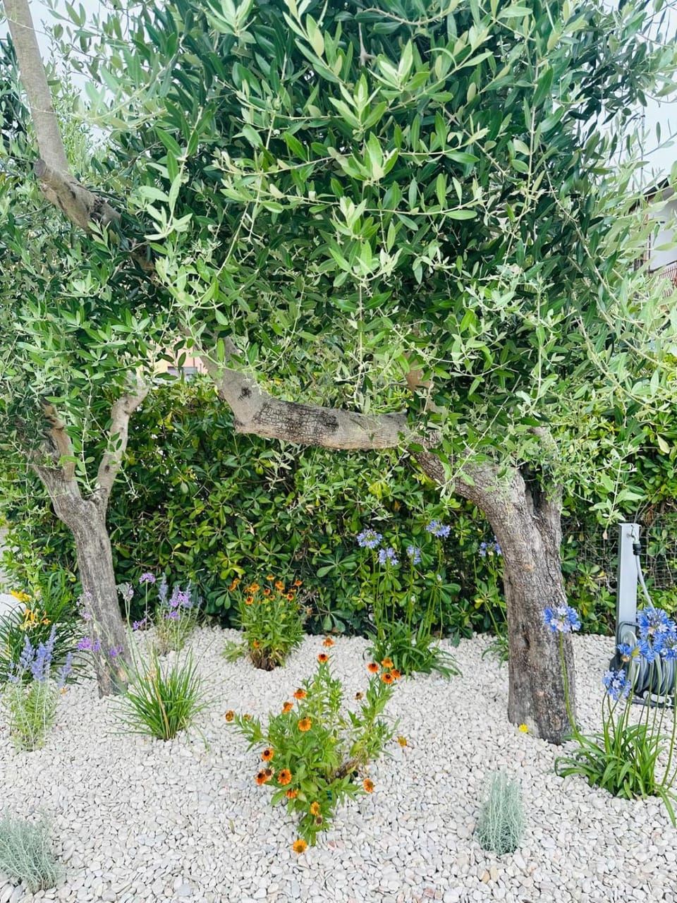 Appartamento Sole Apartment in Marcelli