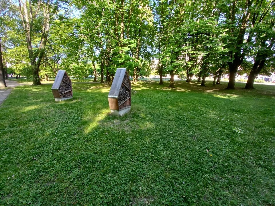 Spring, Day, People, Natural landscape, Garden, Garden view