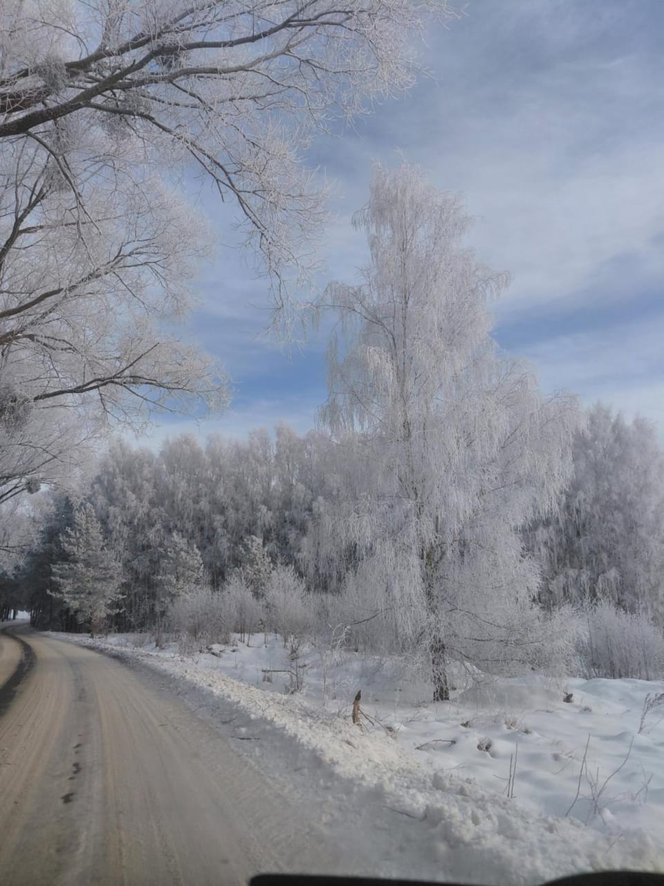 Sosnowy zakątek odpocznij Tu House in Poland