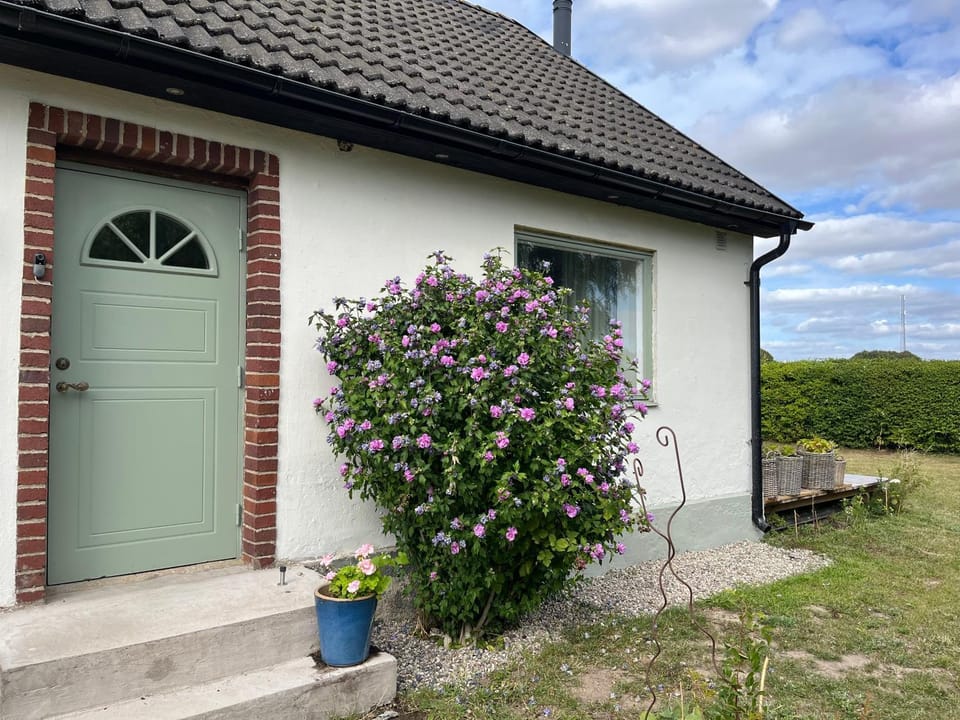 Property building, Garden view