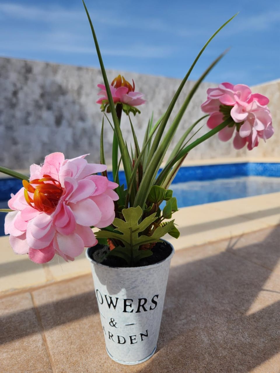 Day, Pool view, Swimming pool