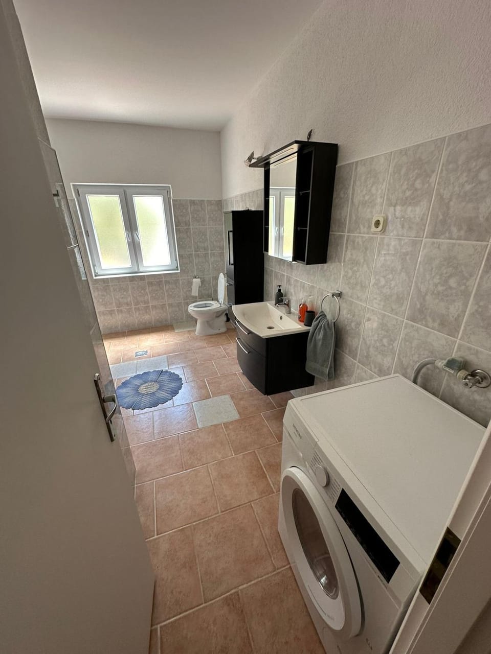 Toilet, Bathroom, washing machine