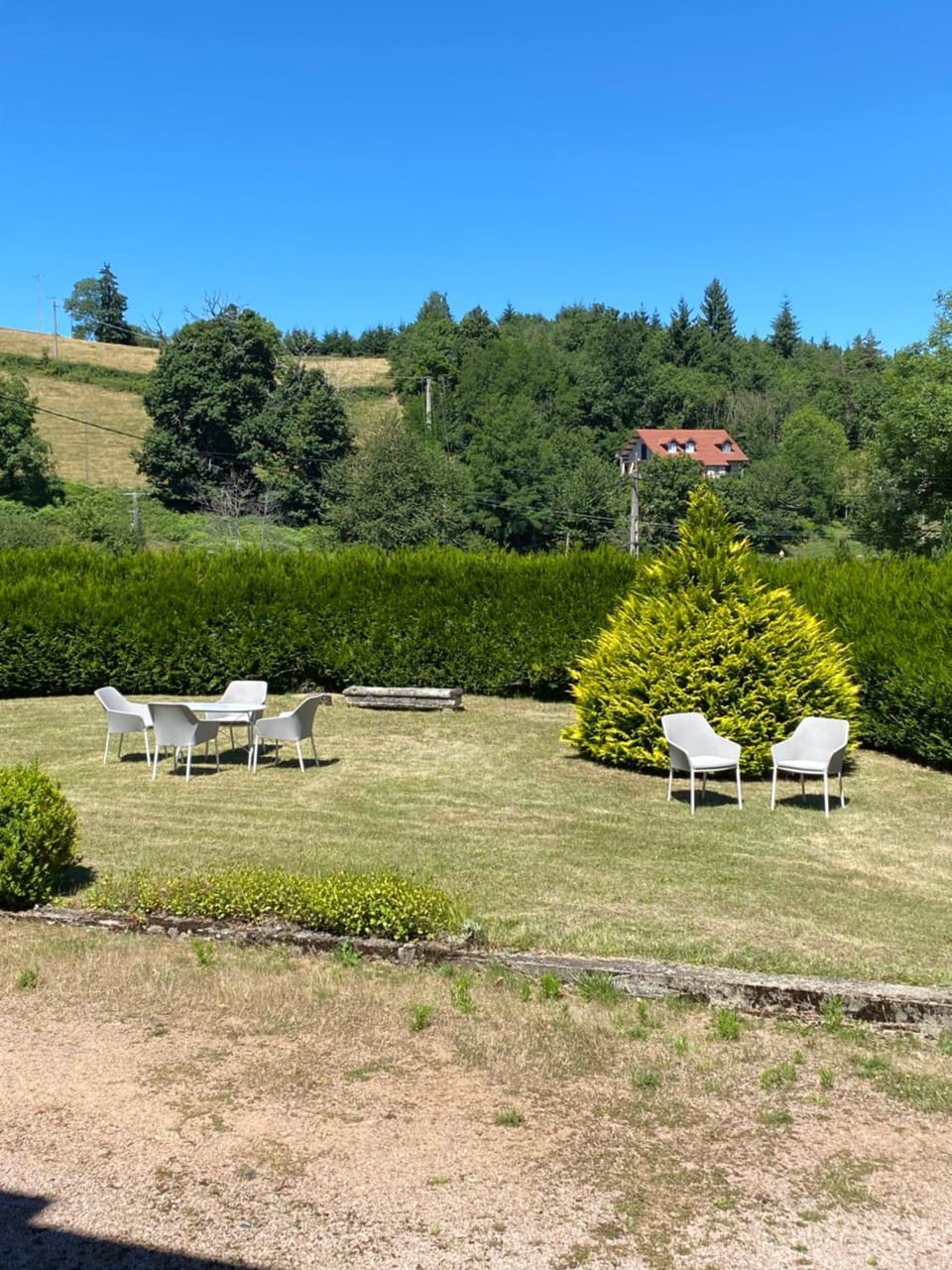 Day, Garden, Garden