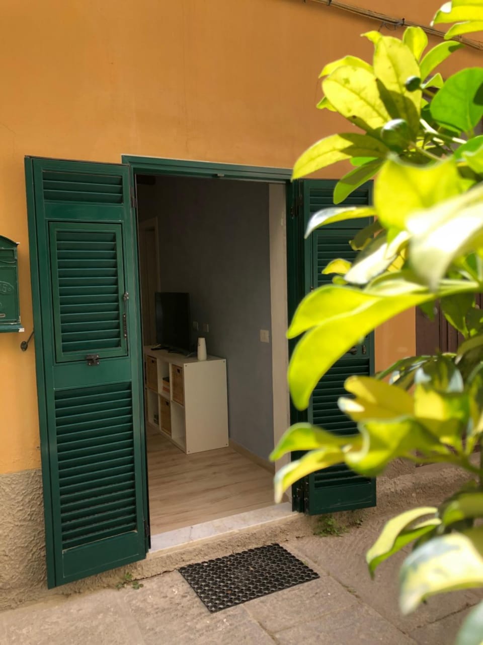 Property building, Garden