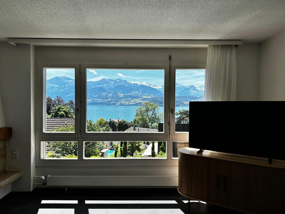 TV and multimedia, Living room, Lake view