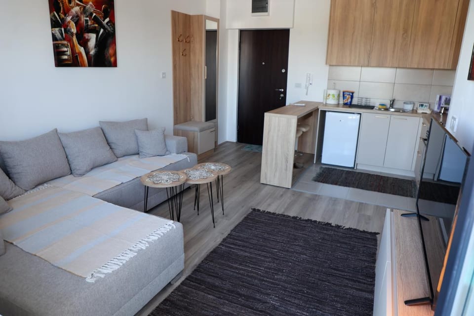 Vamos a la playa Apartment in Serbia