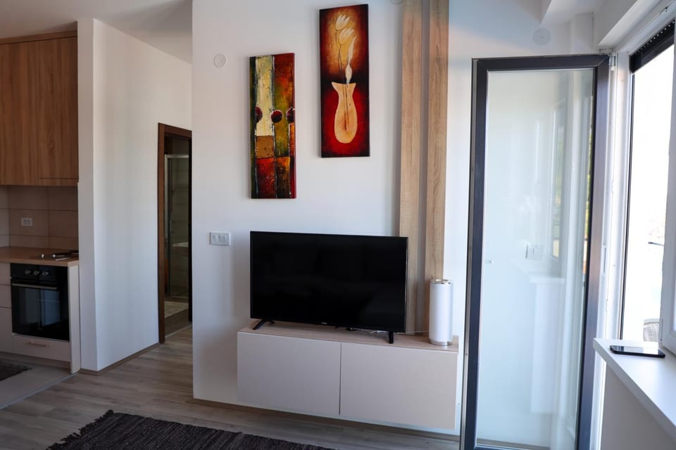 Vamos a la playa Apartment in Serbia