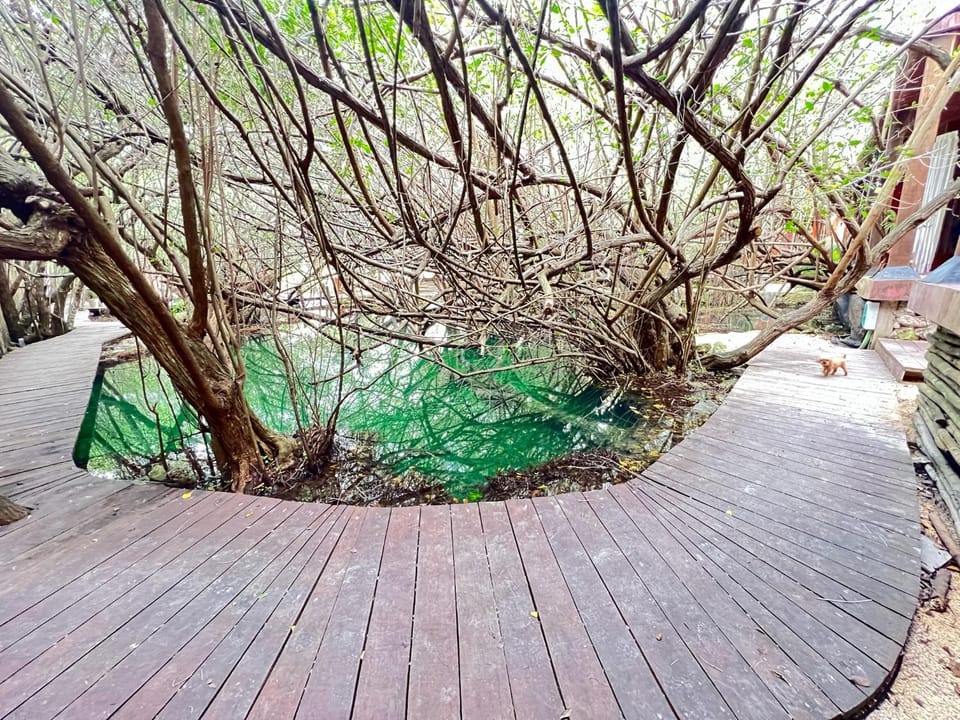 Natural landscape, Swimming pool