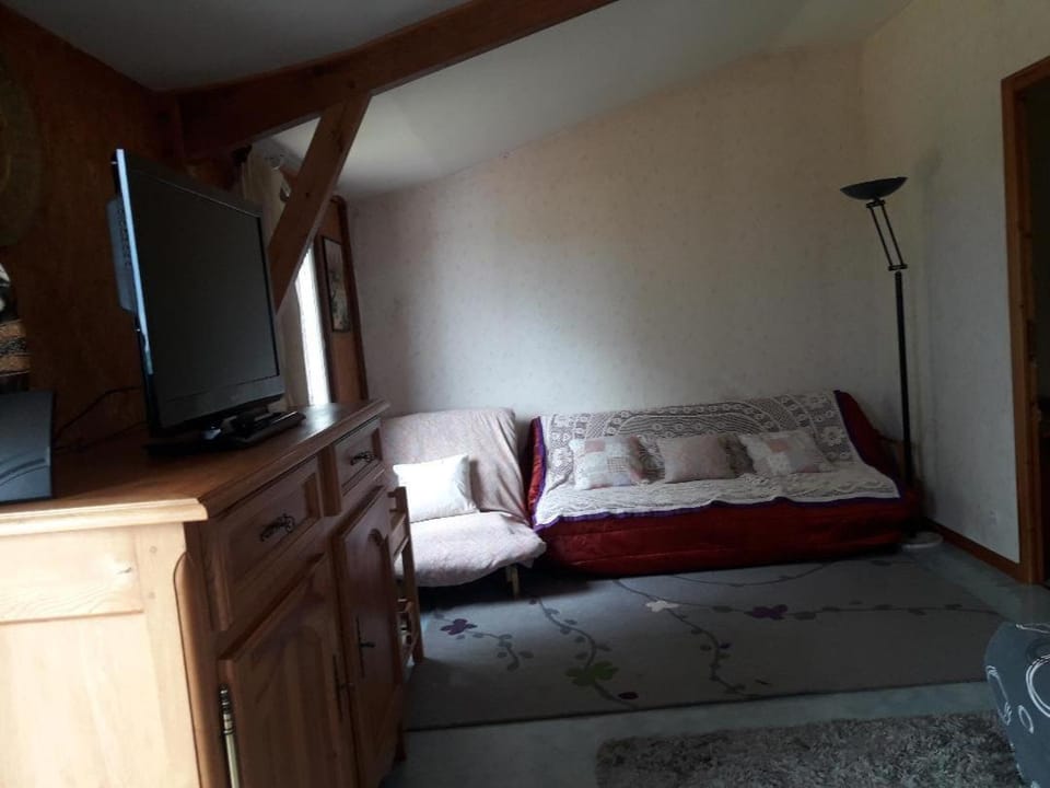 Communal lounge/ TV room, Living room