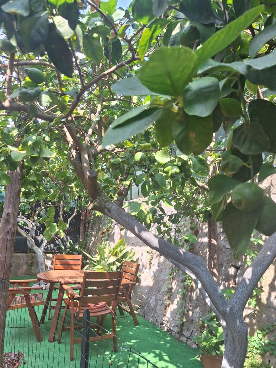 Grazia's Home Apartment in Sant Agnello