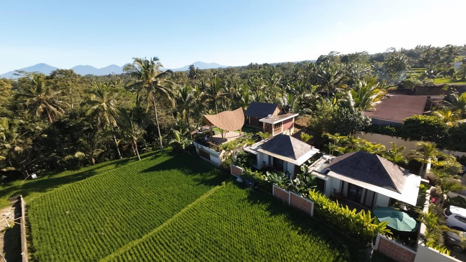 Property building, Natural landscape, View (from property/room)