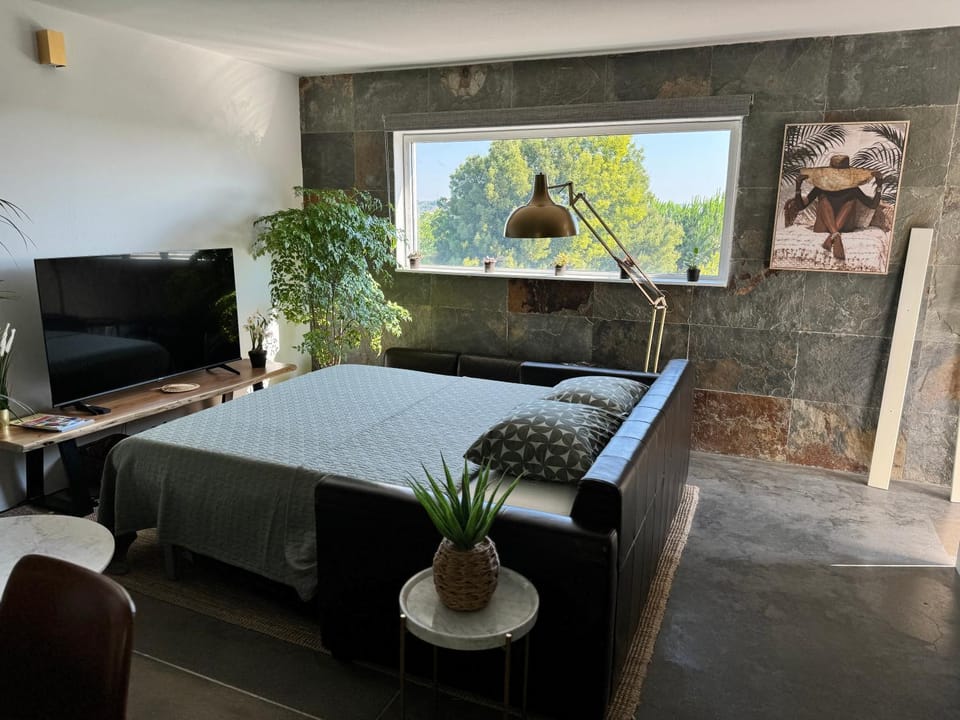 Bed, TV and multimedia, Living room