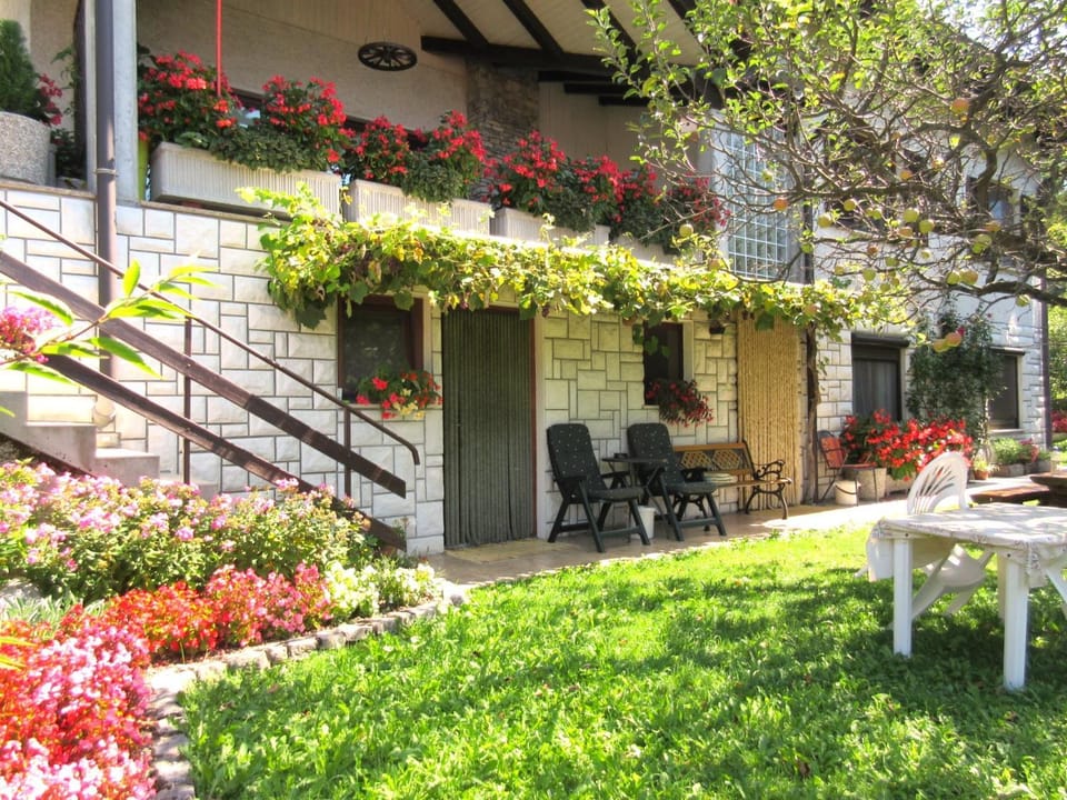 Patio, Garden, Garden view
